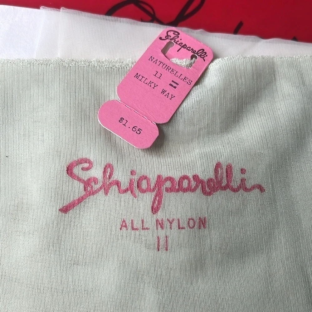 Vintage Schiaparelli 2 PAIR NEW Nylon Stockings in Original Box w Paper One Size